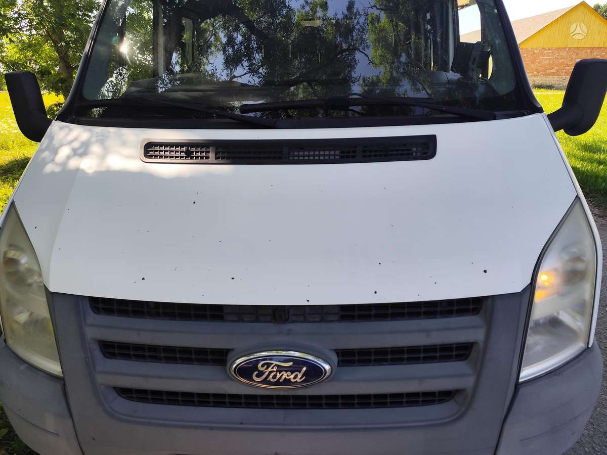Ford Transit, commercial