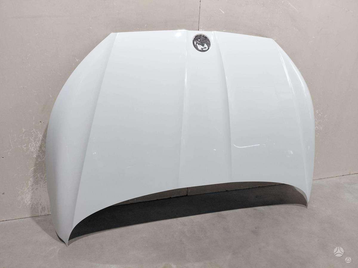 Skoda Enyaq hood (front, rear)