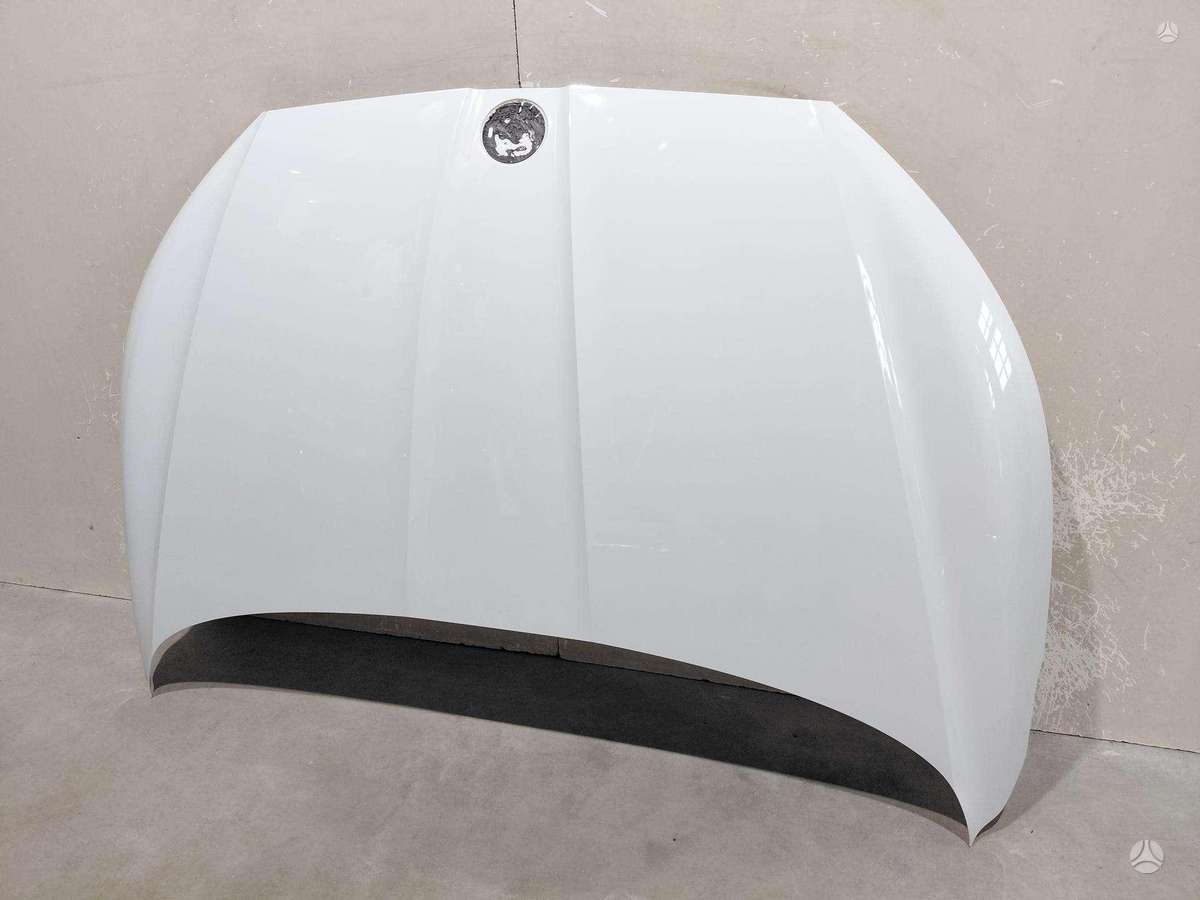 Skoda Enyaq hood (front, rear)