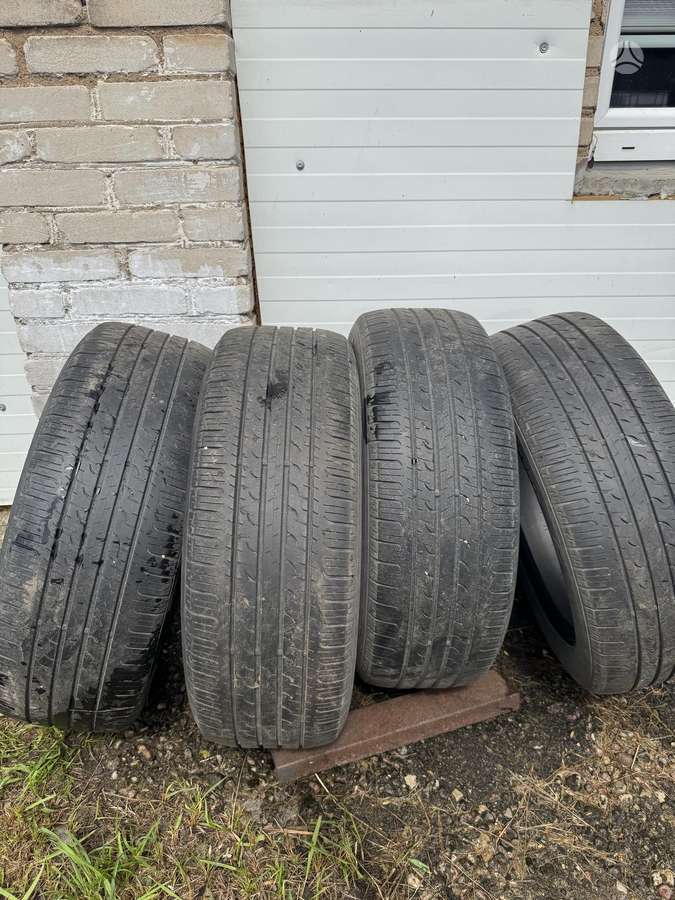 Goodyear Efficientgrip suv 4x4, vasarinės 225/55 R19