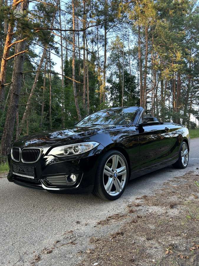 BMW 218, 2.0 l., convertible