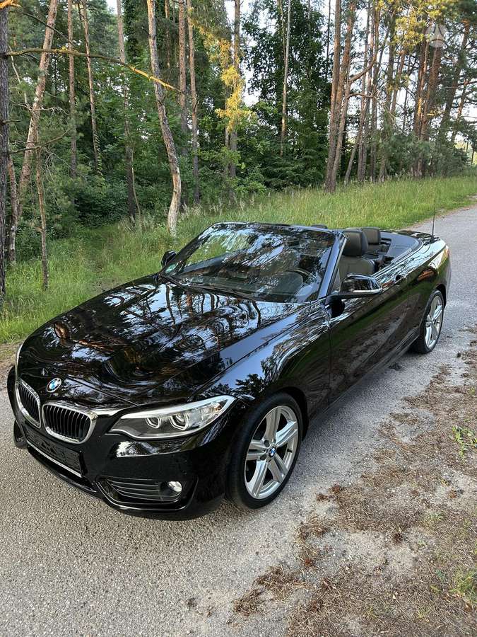 BMW 218, 2.0 l., convertible