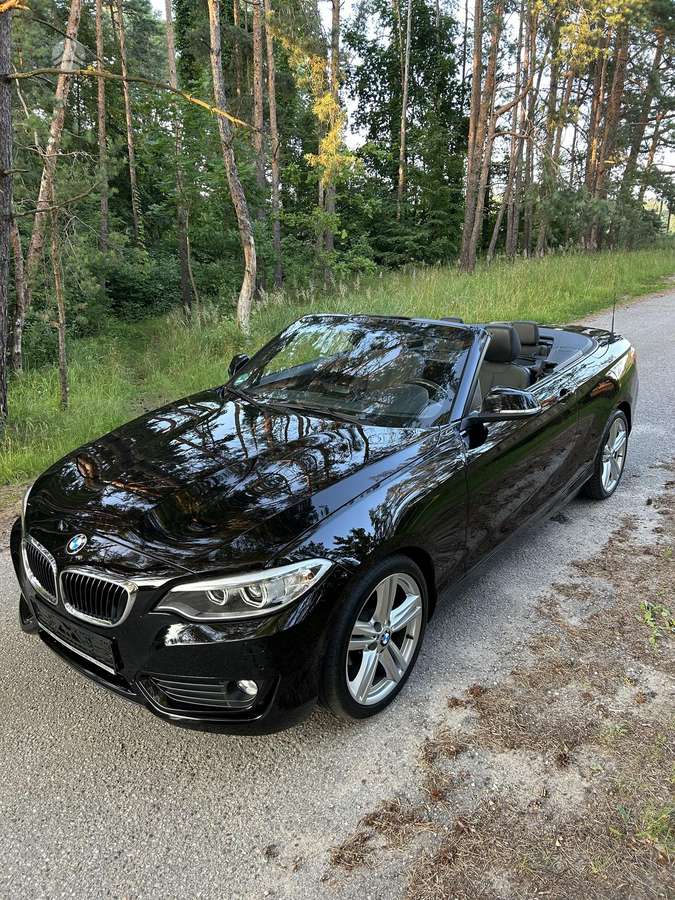 BMW 218, 2.0 l., Кабриолет