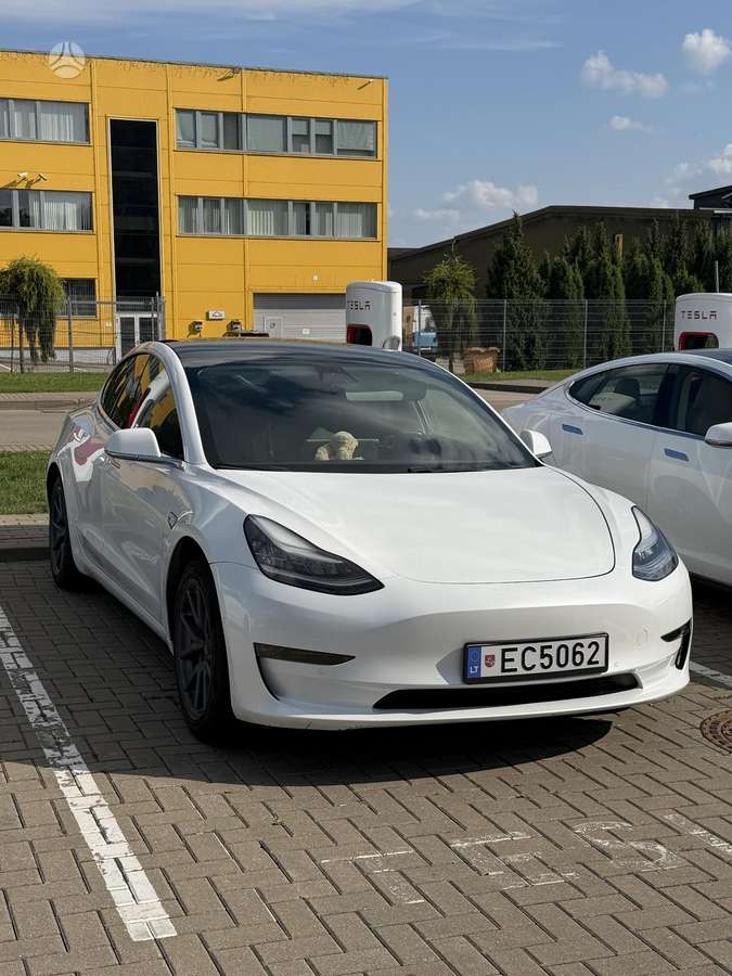 Tesla Model 3, 81 кВт·ч, Хэтчбек