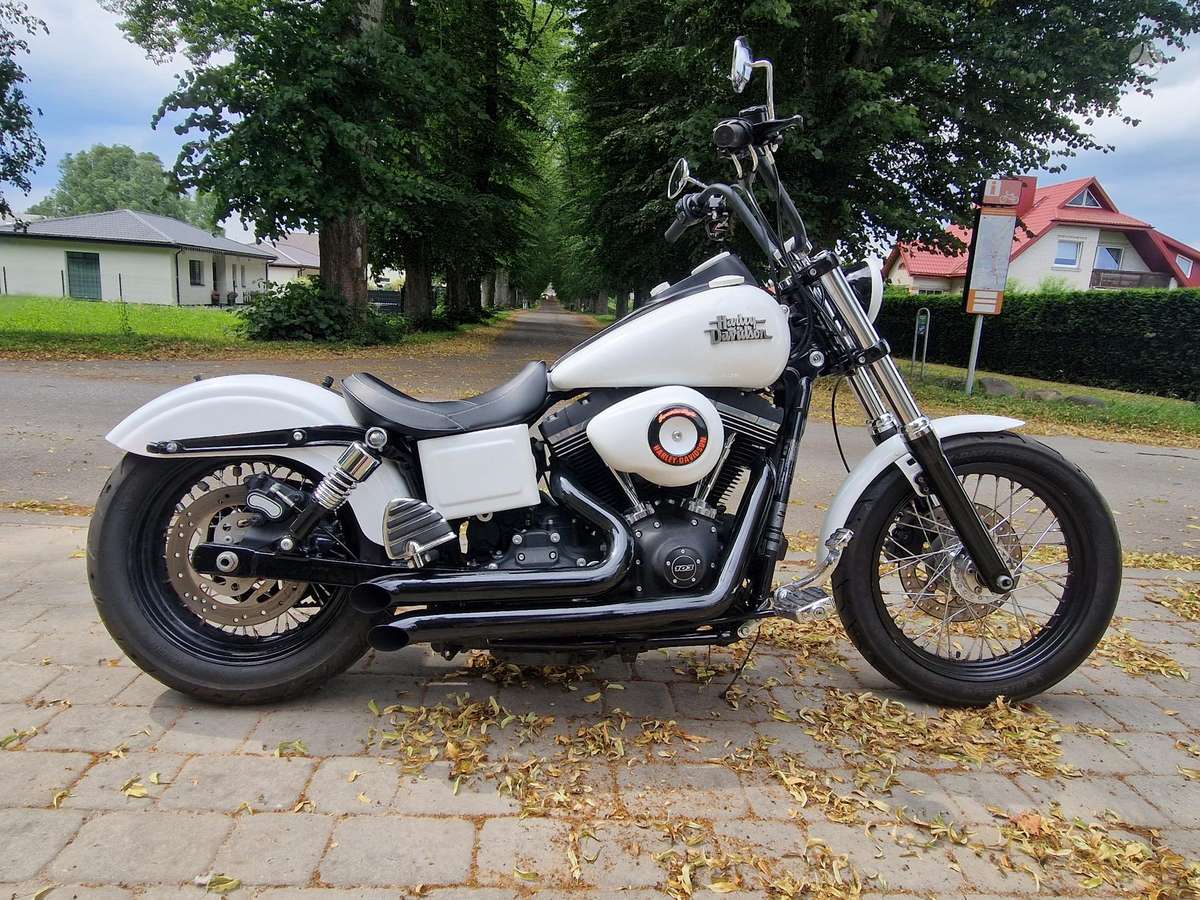 Harley-Davidson Dyna 1690cc, choppers / cruisers / custom