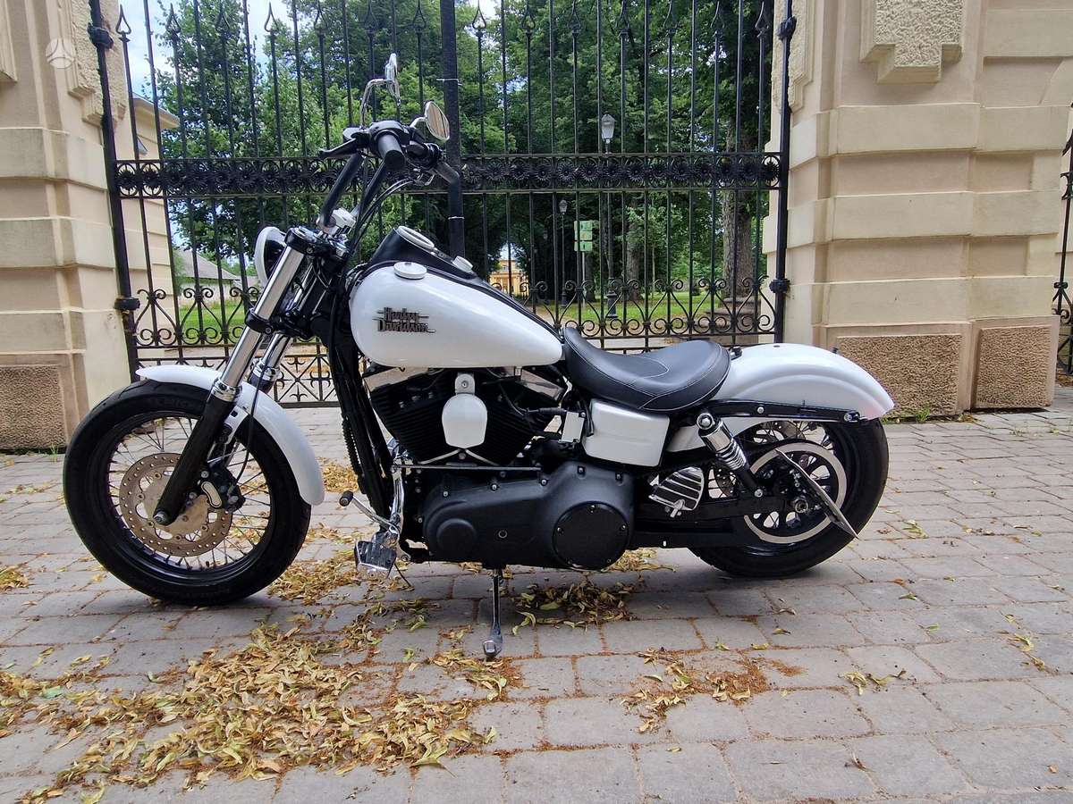 Harley-Davidson Dyna 1690cc, чопперы / круизеры / custom