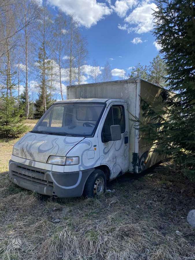 Fiat Ducato, Коммерческий