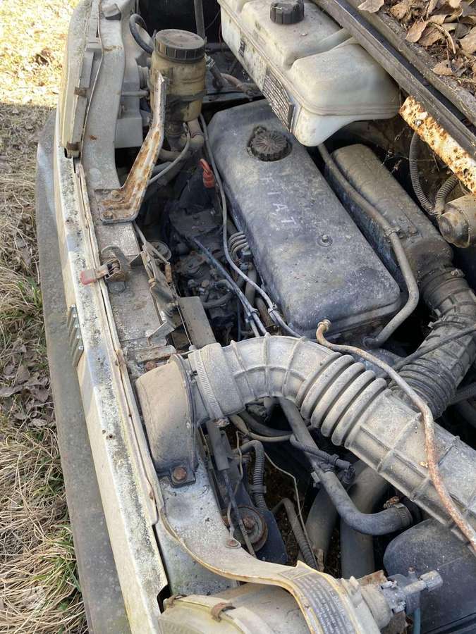 Fiat Ducato, komercinis