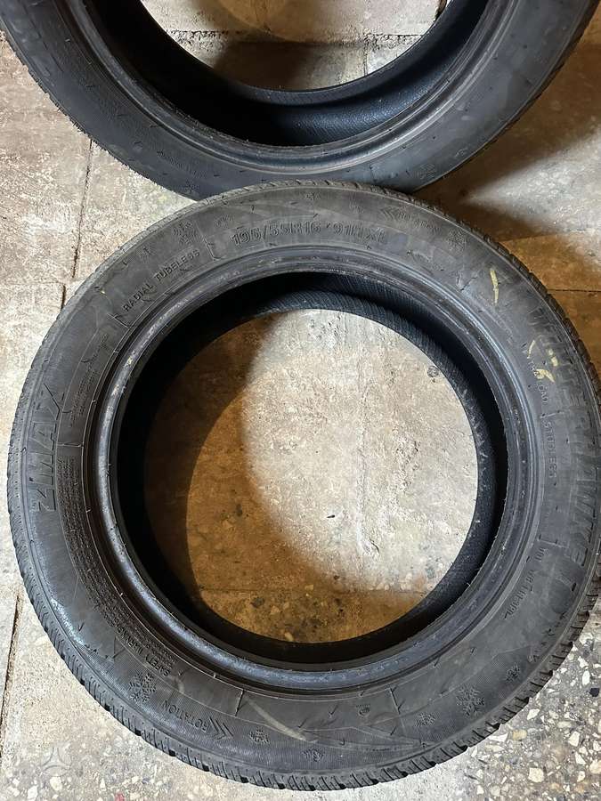Zmax Winterhawke, žieminės 195/55 R16