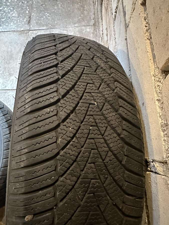 Zmax Winterhawke, žieminės 195/55 R16