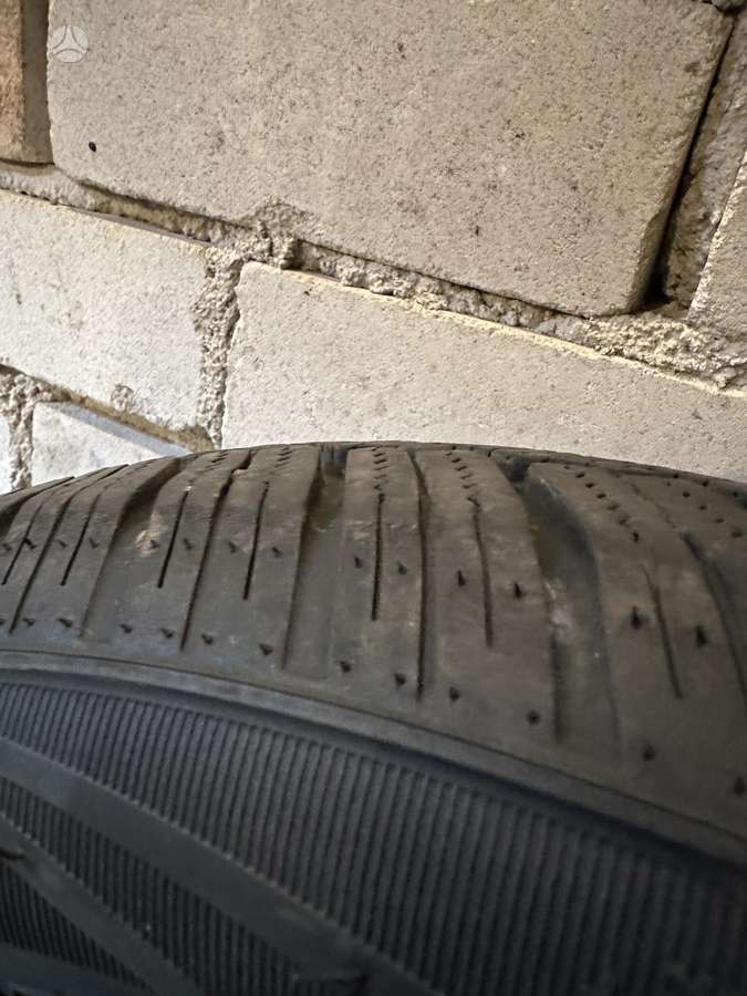 Zmax Winterhawke, žieminės 195/55 R16