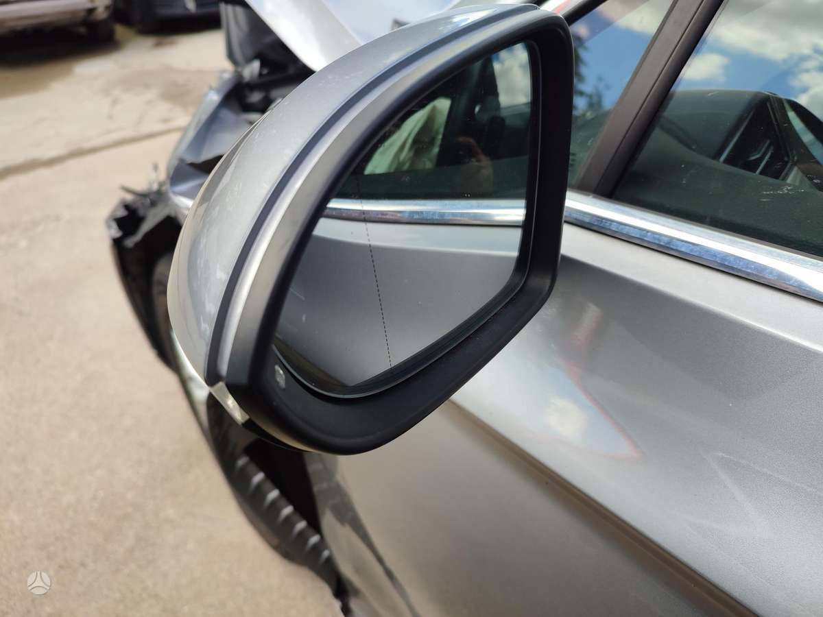 Volkswagen Passat Variklis dtr