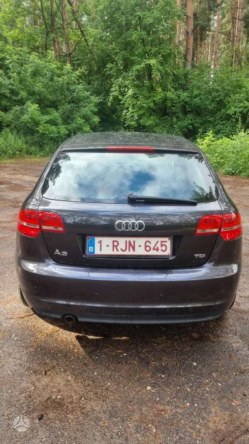 Audi A3, 1.6 l., hatchback