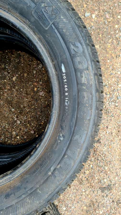 Semperit Speed-Grip2, зимние 205/60 R16