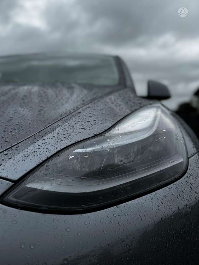 Tesla Model Y, 81 кВт·ч, Хэтчбек