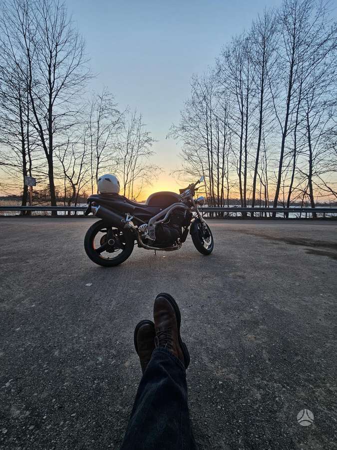 Triumph Speed Triple 995cc, street / classic