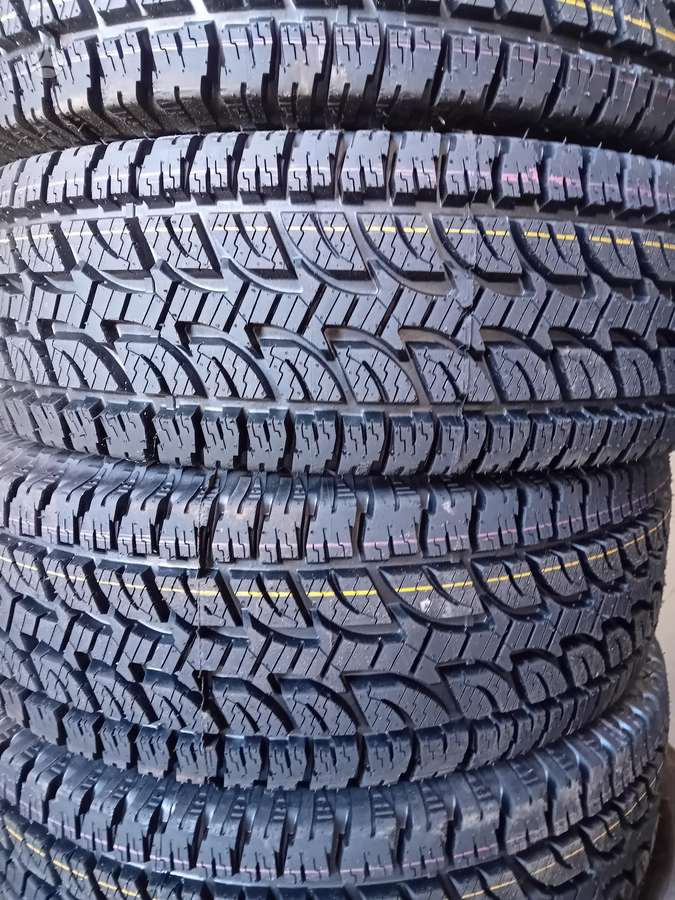 Goldway, всесезонные 235/55 R17