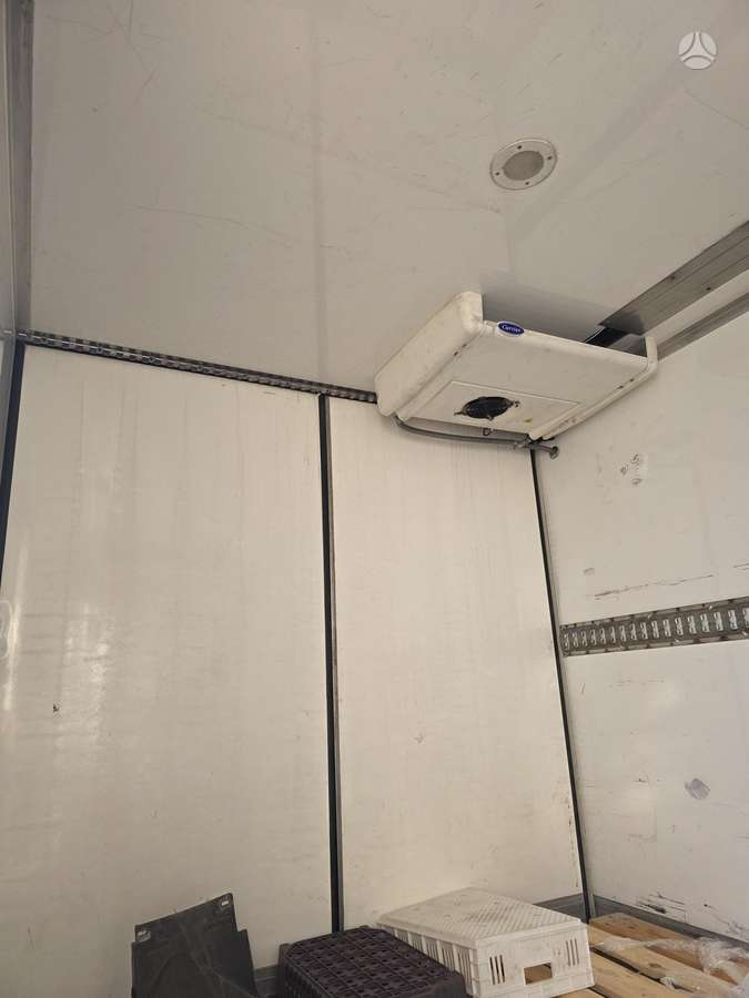 Opel Movano, refrigerated trucks