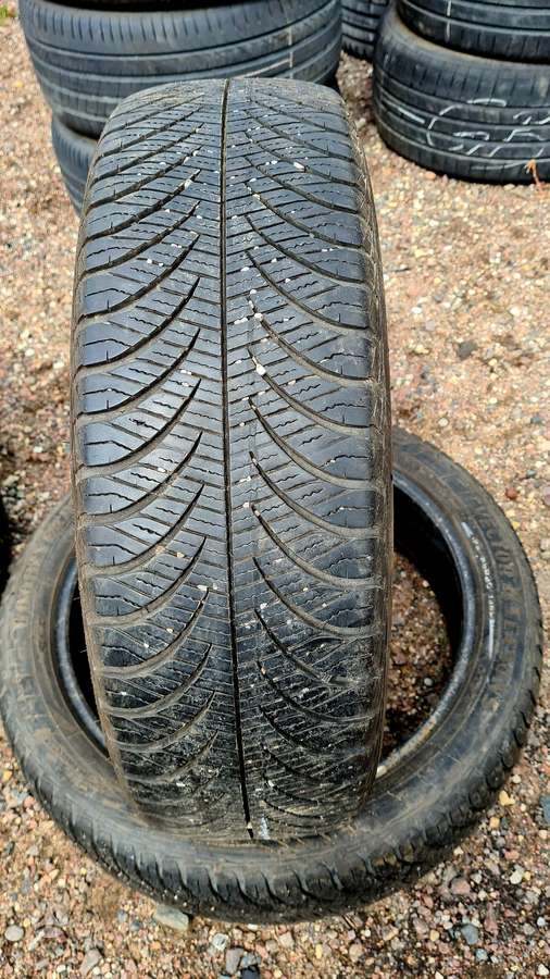 Goodyear Vector 4Seasons Gen 2, winter 195/55 R20