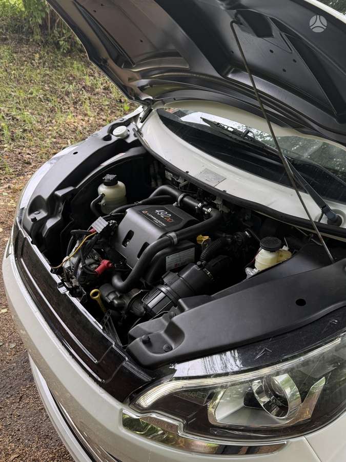 Ligier JS50, Купе (coupe)