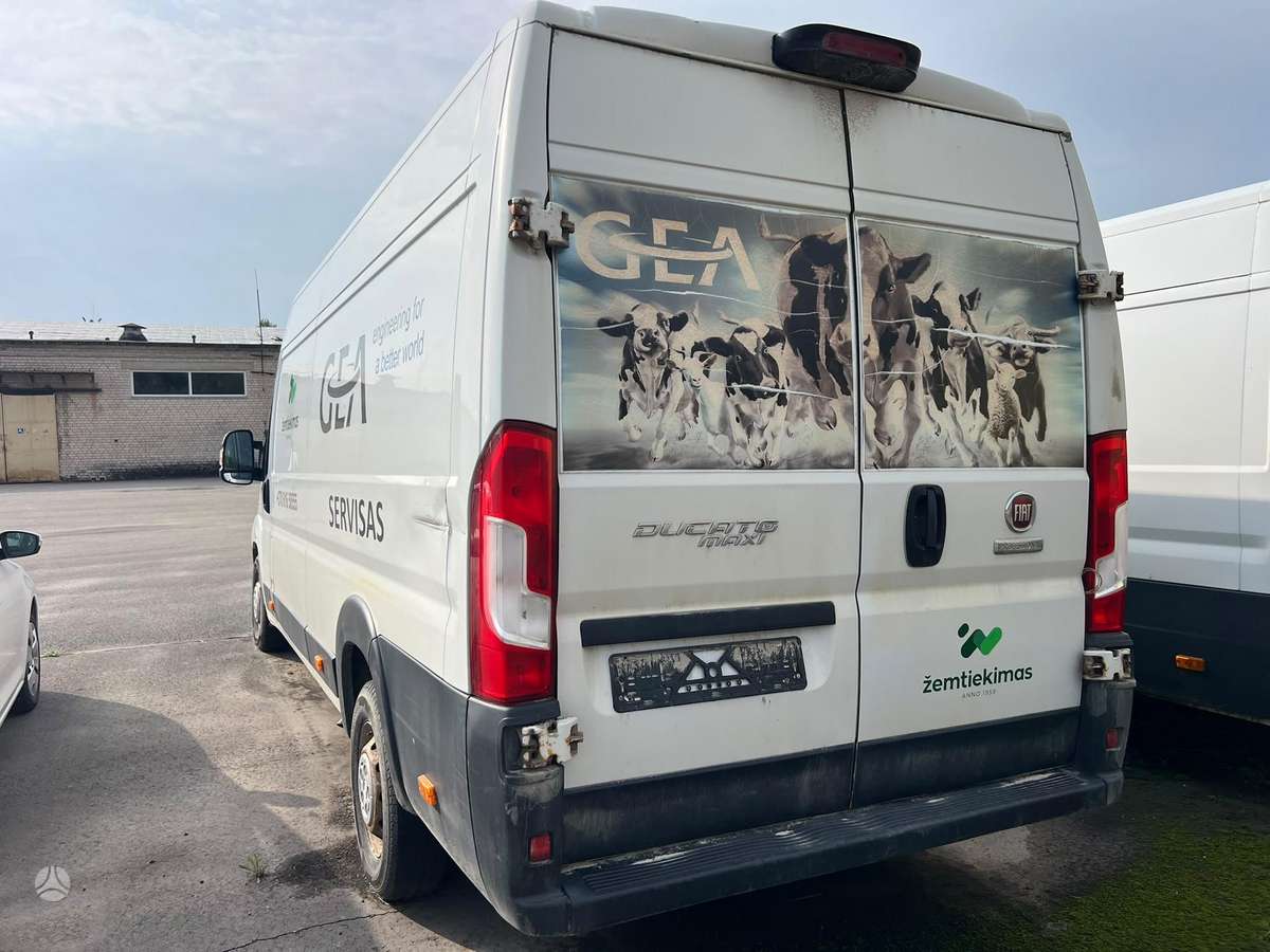 Fiat Ducato, commercial
