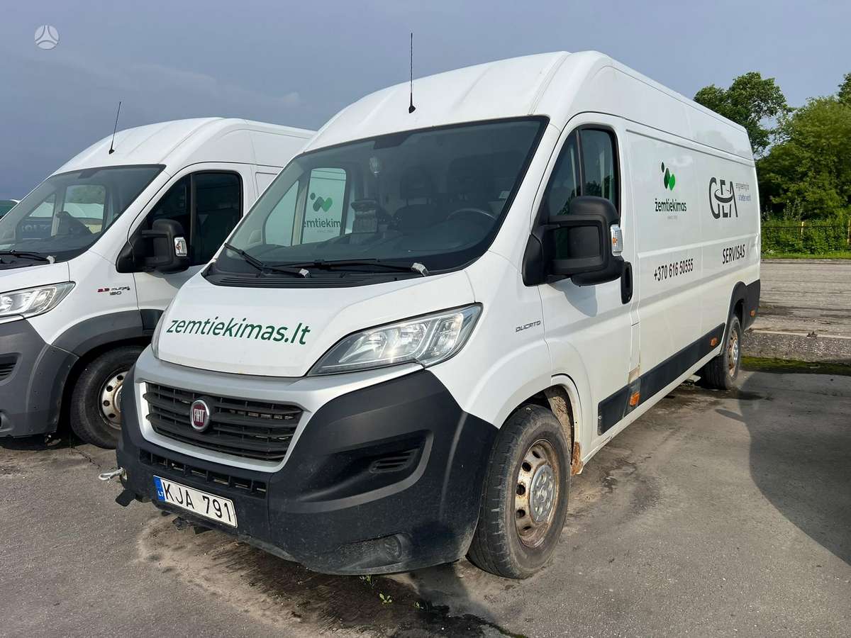 Fiat Ducato, Коммерческий