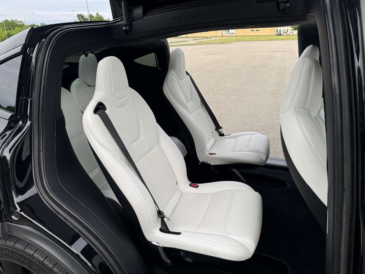 Tesla Model X, 100 kWh, off-road / crossover