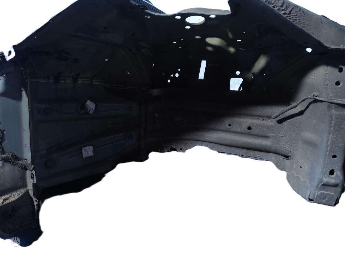 Tesla Model 3 dangtis (priekinis, galinis)