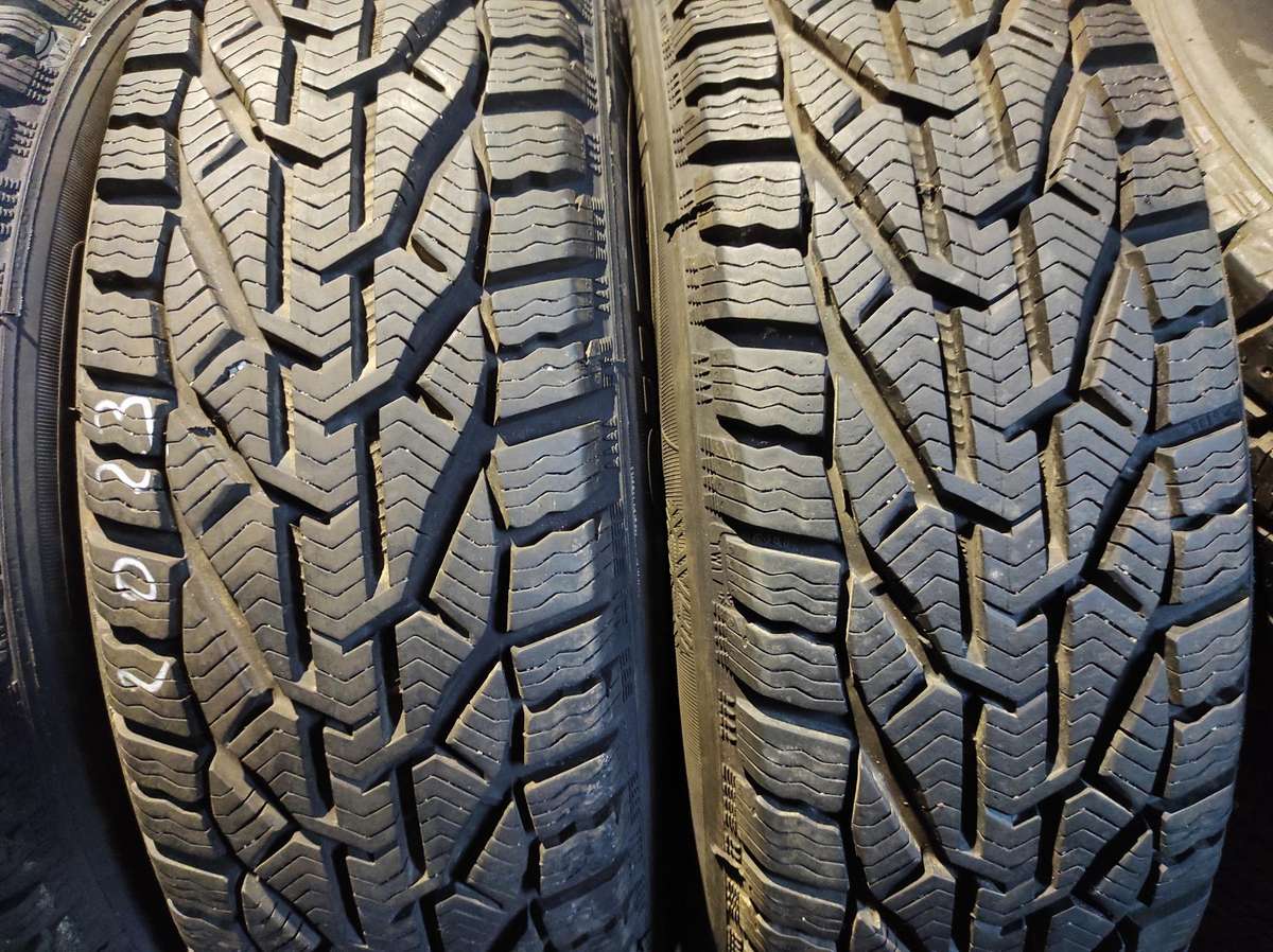 Michelin, žieminės 195/65 R15