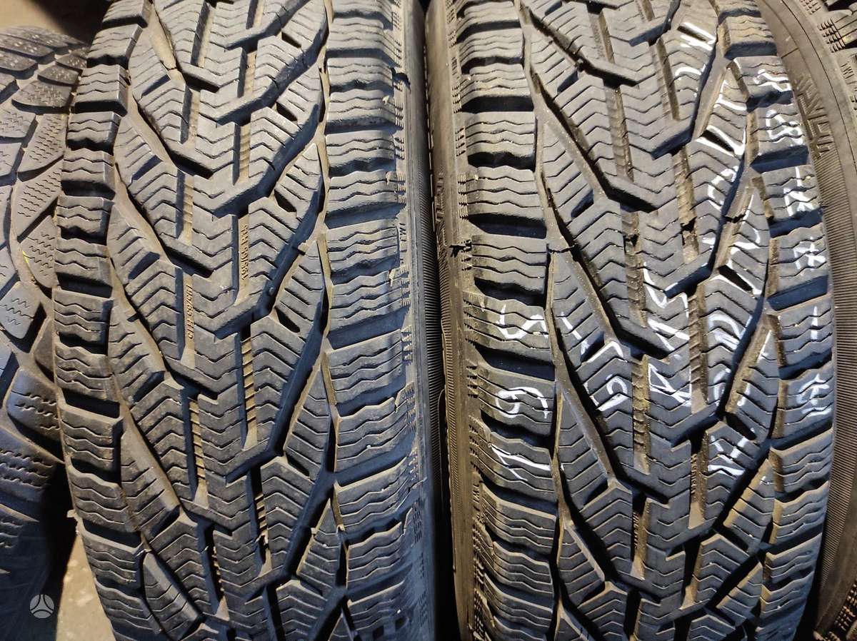 Michelin, žieminės 195/65 R15