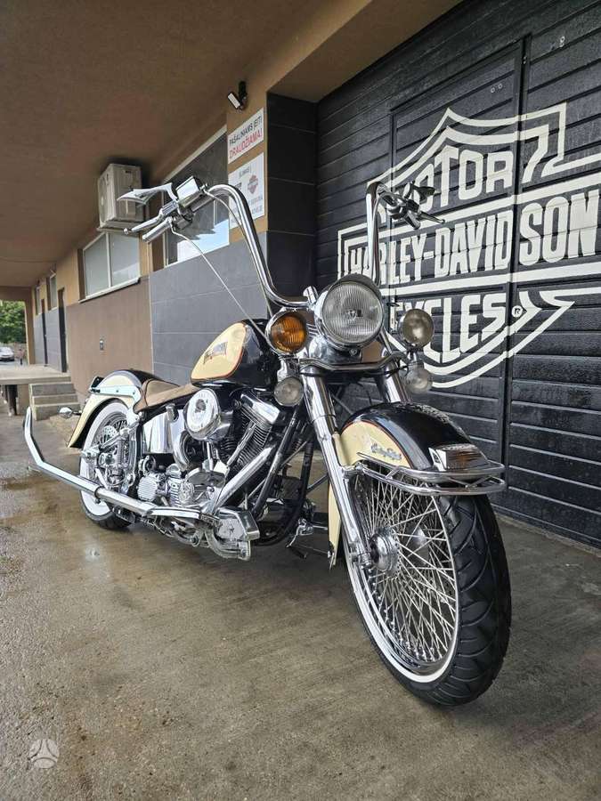 Harley-Davidson FLSTC 1300cc, choppers