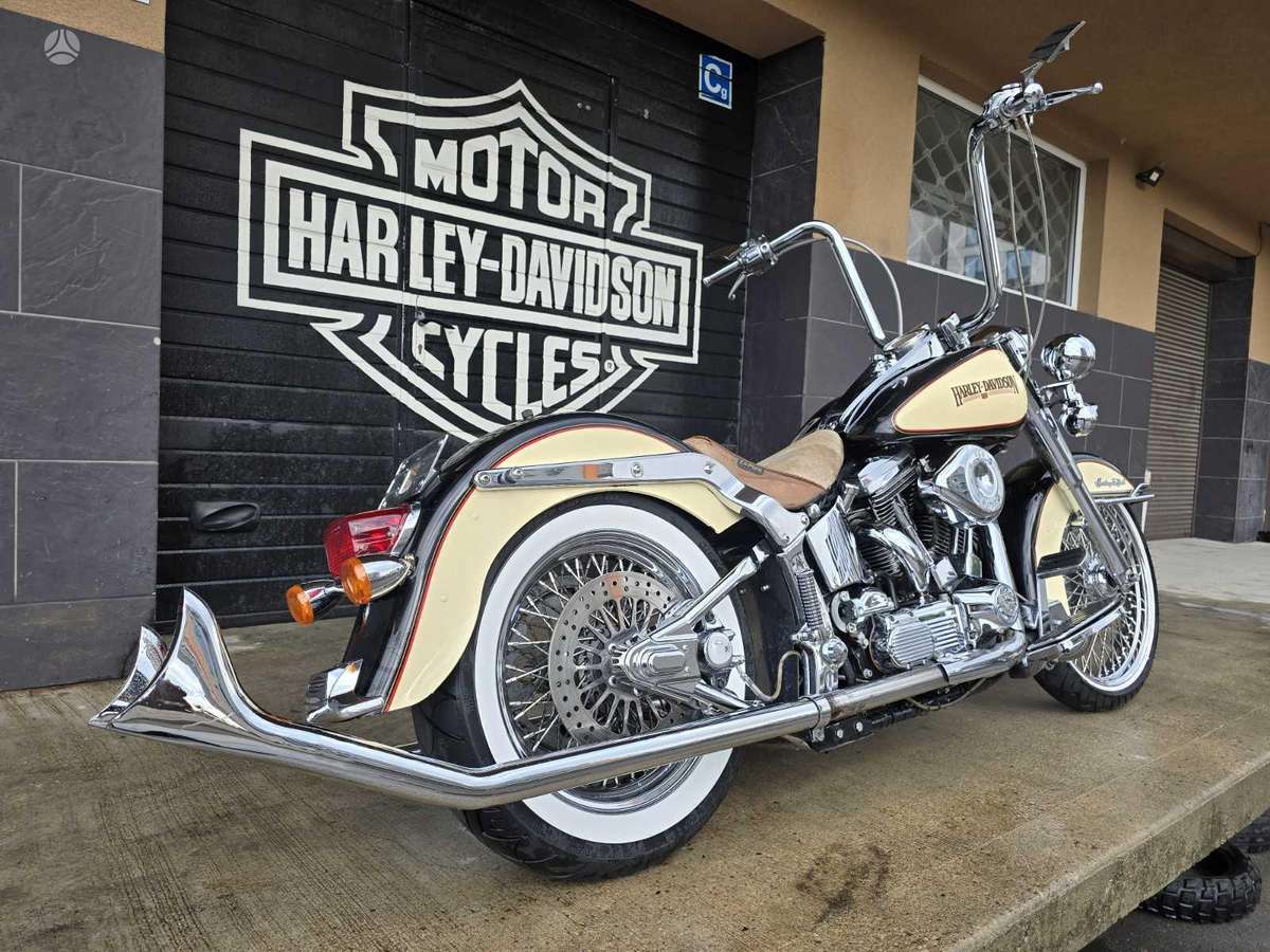 Harley-Davidson FLSTC 1300cc, choppers