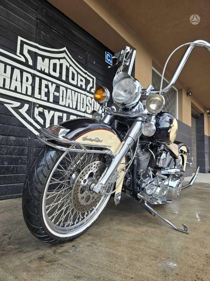 Harley-Davidson FLSTC 1300cc, choppers