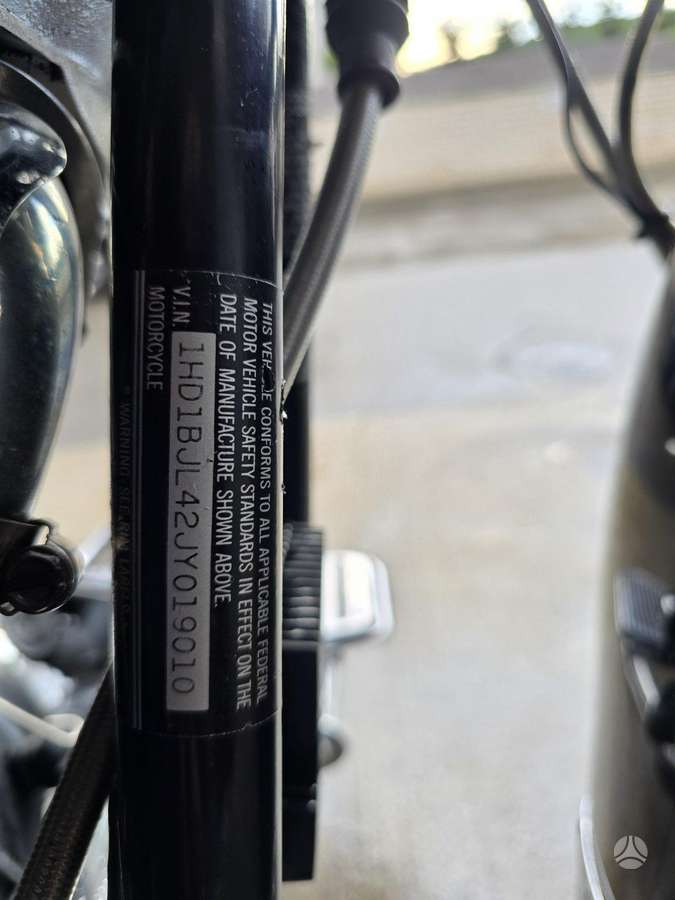 Harley-Davidson FLSTC 1300cc, choppers