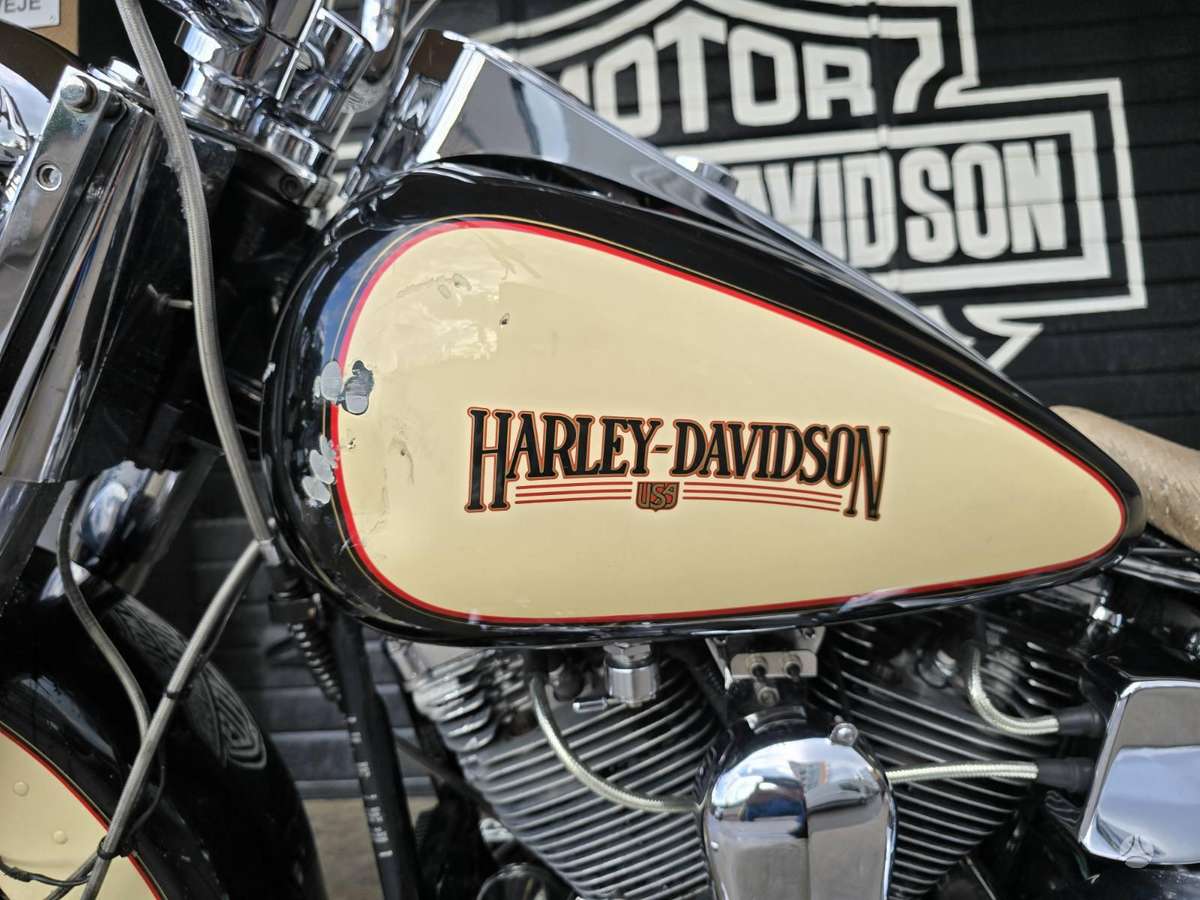 Harley-Davidson FLSTC 1300cc, choppers