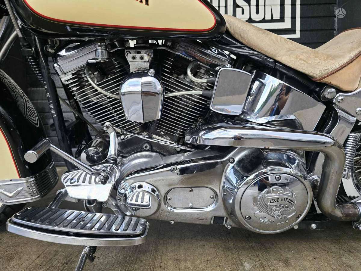 Harley-Davidson FLSTC 1300cc, choppers