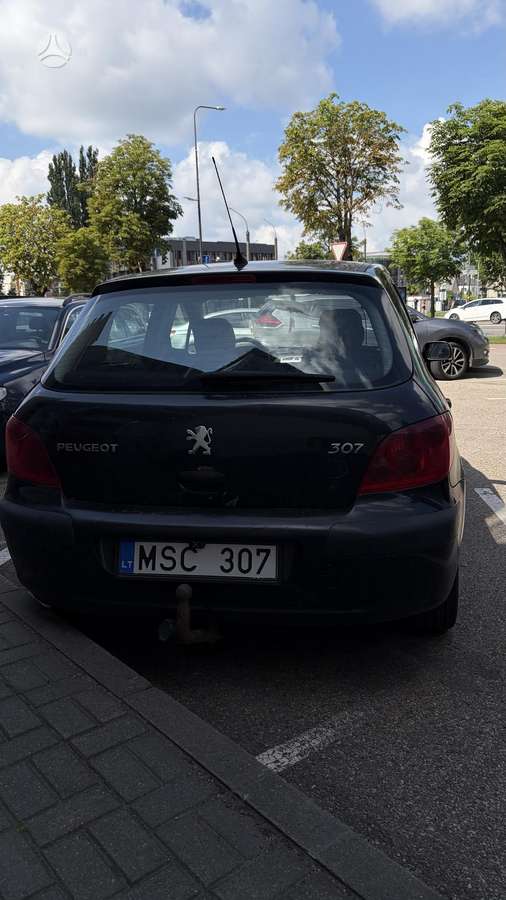 Peugeot 307, 2.0 l., hatchback