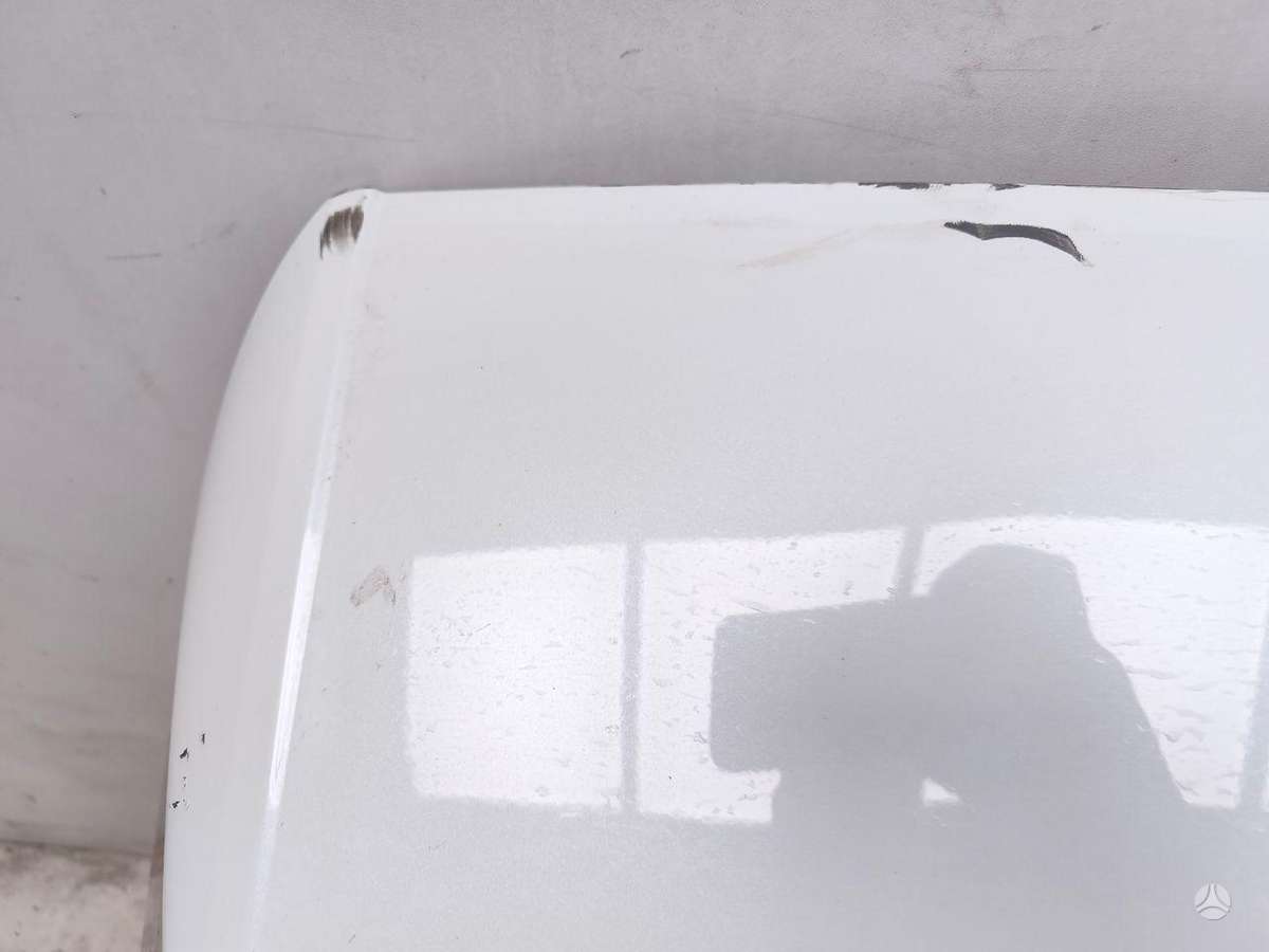 Renault Scenic E-Tech dangtis (priekinis, galinis)