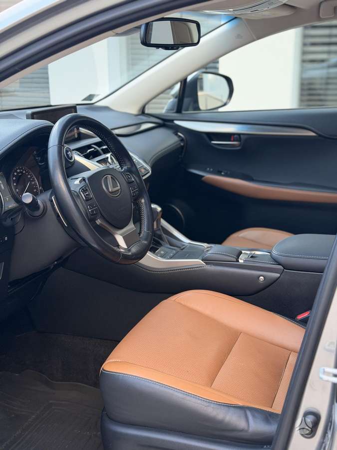 Lexus NX 300h - 8