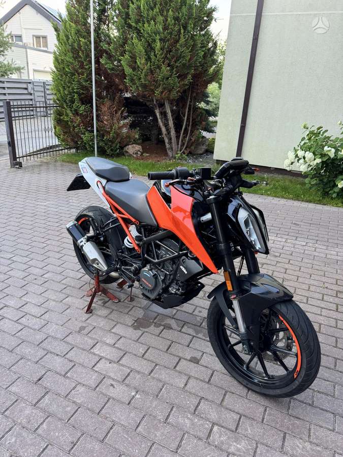 KTM Duke 125cc, street / classic
