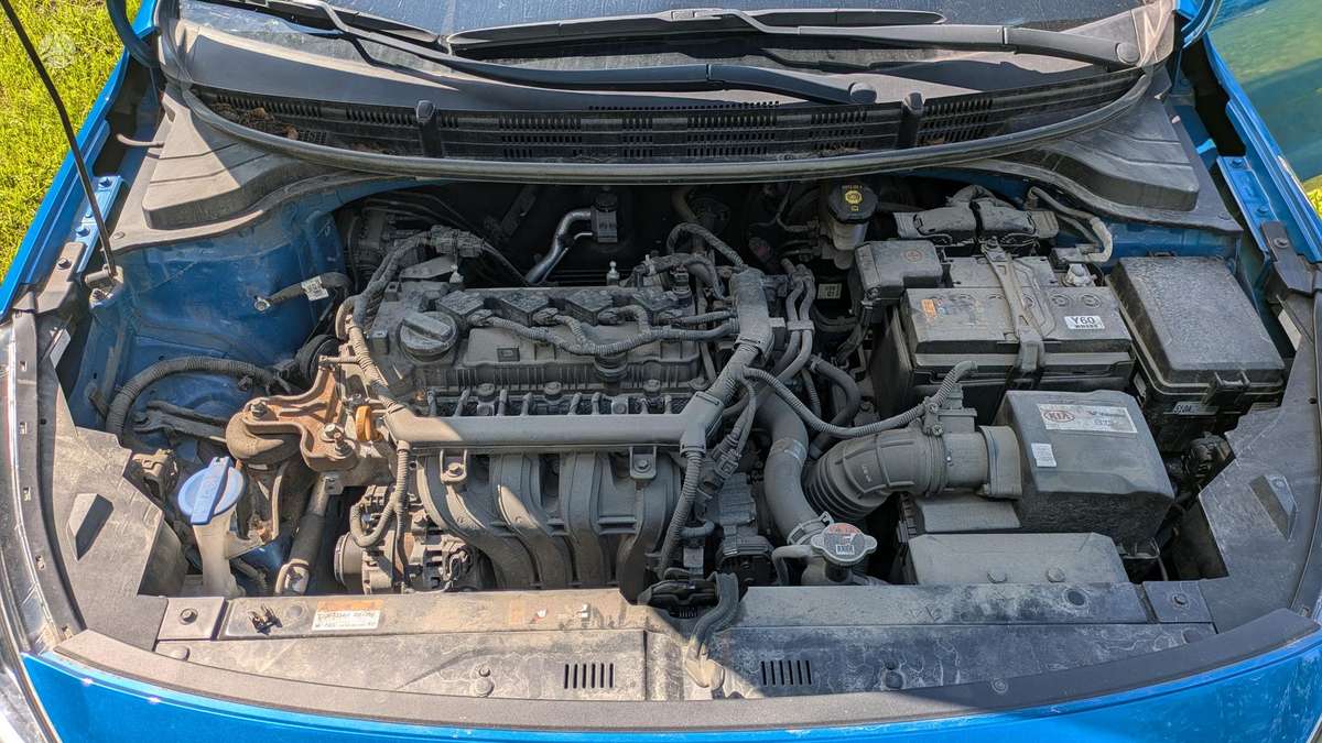 Kia Rio, 1.2 l., hatchback