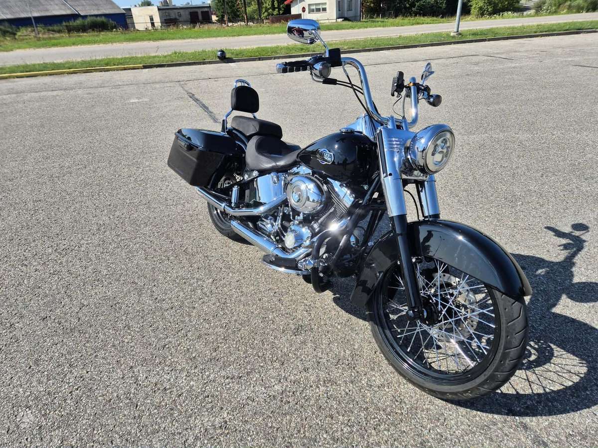 Harley-Davidson FLSTC 1600cc, choppers