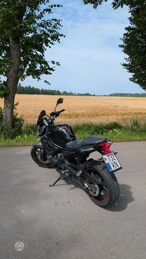 Yamaha XJ6 600cc, street / classic