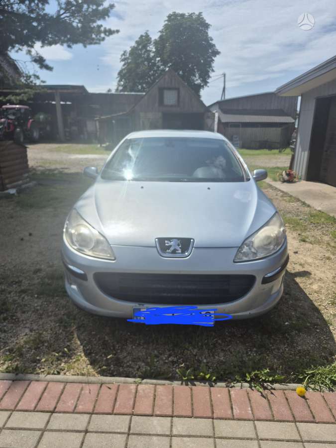 Peugeot 407 - 1