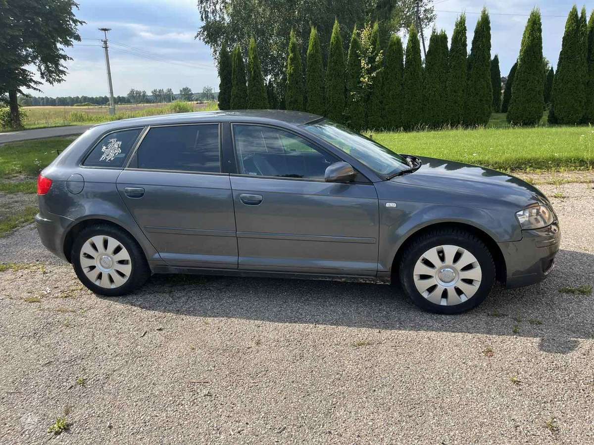 Audi A3, 1.9 l., hatchback