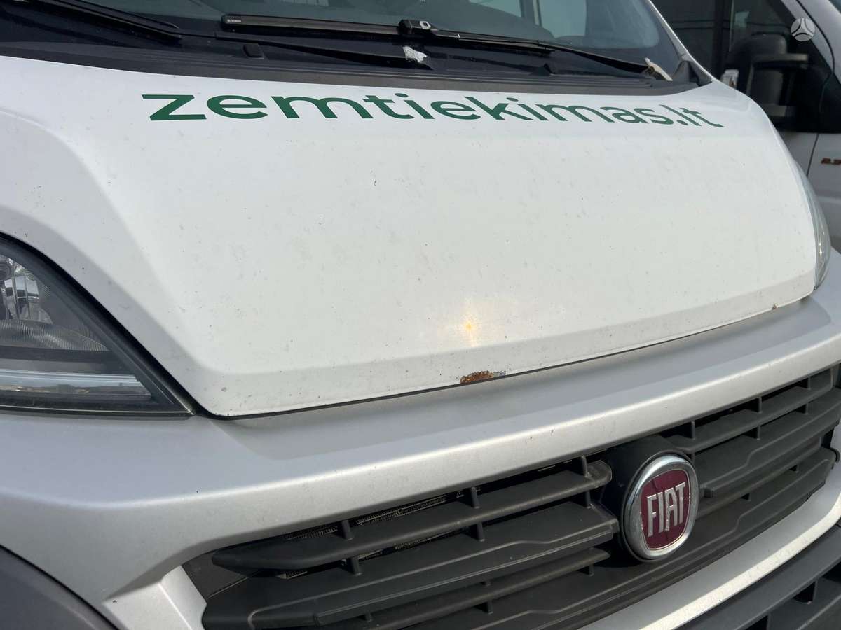 Fiat Ducato, komercinis