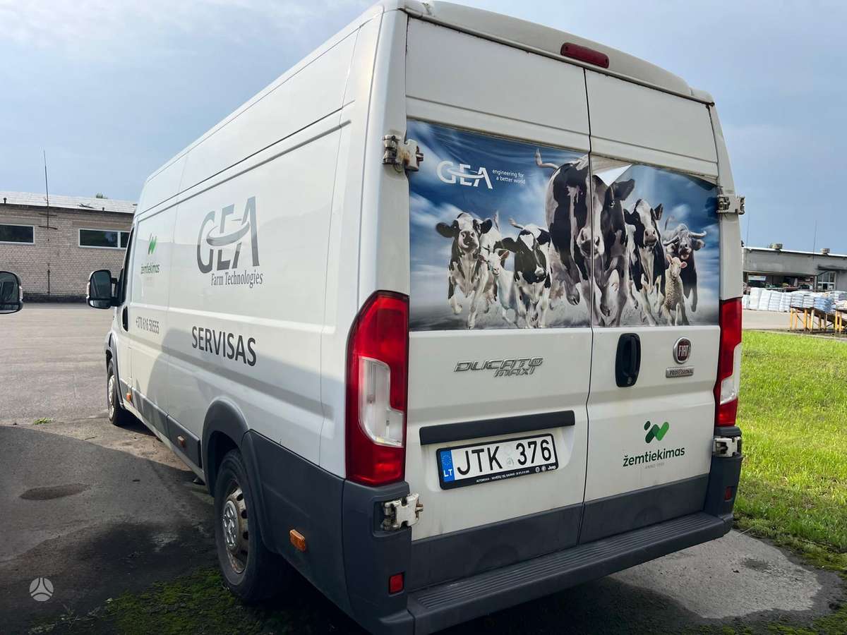 Fiat Ducato, commercial