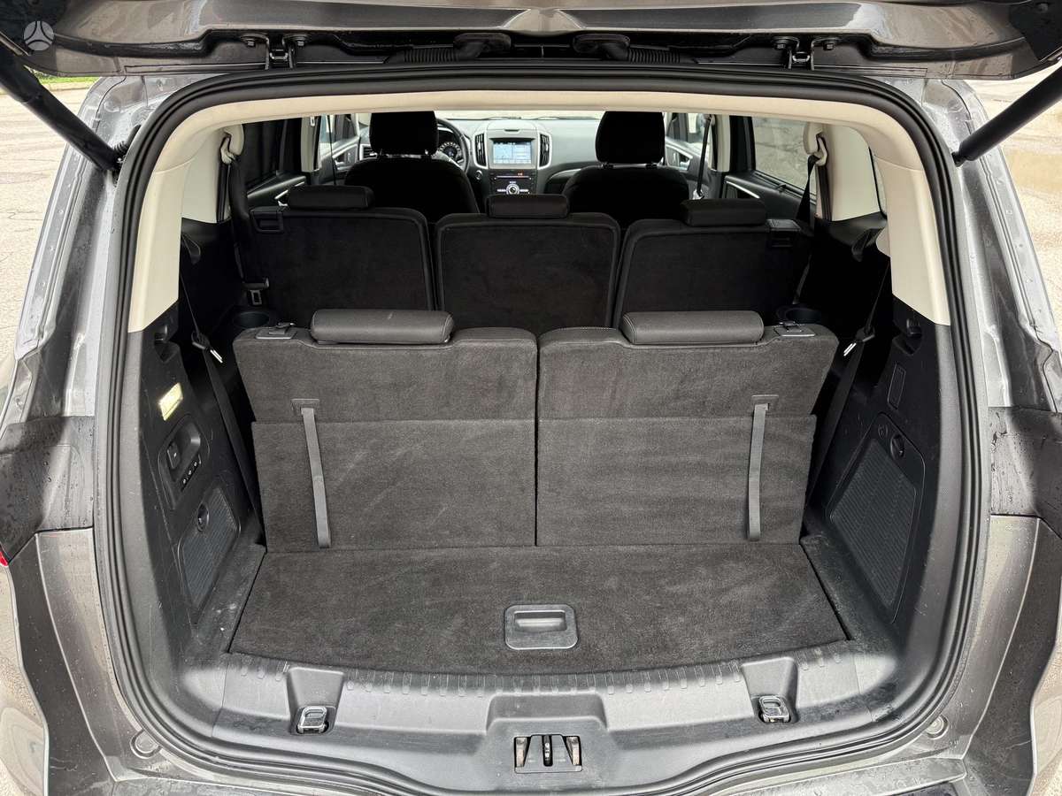 Ford S-MAX, 2.0 l., mpv / minivan
