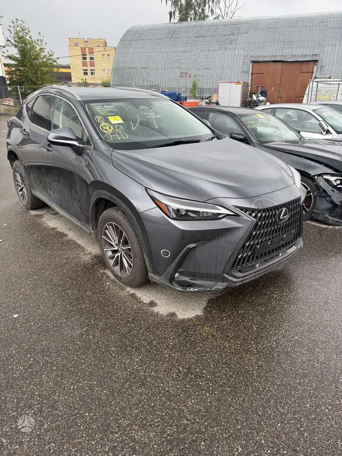 Lexus NX klasė