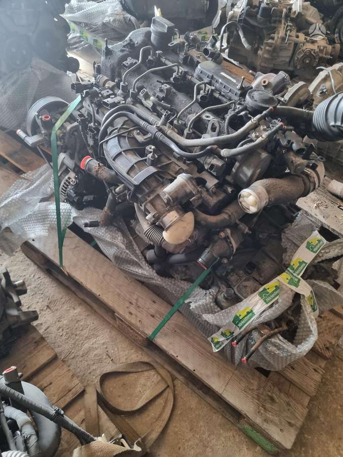 Hyundai Santa Fe, D4HB, differential, gearbox, engine
